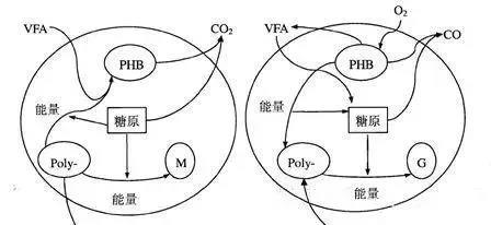 2号站开户测速,2号站测速网址