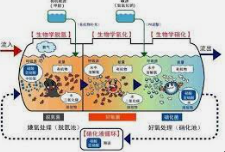 2号站娱乐测速,2号站测速官网