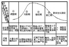 <b>2号站网址干货！活性污泥10大知识点汇总，学会</b>