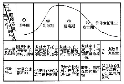 2号站测速