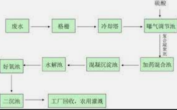 2号站测速地址,2号站娱乐平台