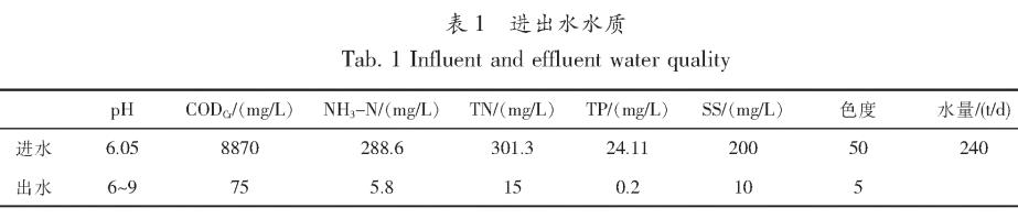 2号站开户测速,2号站测速网址