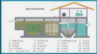 2号站平台登陆,2号站登录