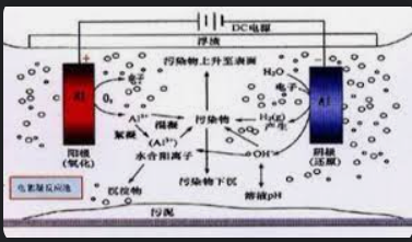 2号站平台登陆,2号站登录