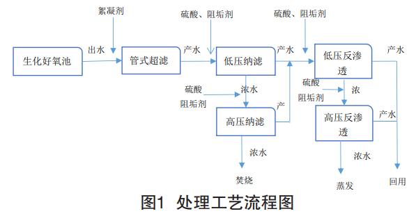 2号站娱乐测速,2号站测速官网