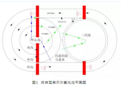 <b>2号站线路测试我用氧化沟实现了同步硝化反硝化</b>