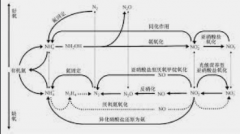 <b>2号站娱乐注册登录厌氧氨氧化污水处理技术</b>