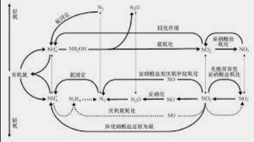 2号站开户注册,2号站怎么注册的?