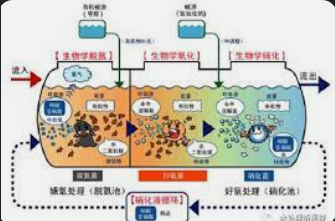 2号站测速,2号站的历史