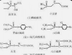 <b>2号站官网登录有机磷农药混合污水生化处理工艺</b>