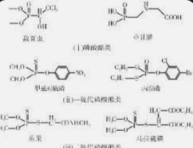 2号站登录网址,2号站平台做什么的?