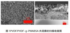 <b>2号站平台怎么注册?共混膜在污水处理中的应用</b>