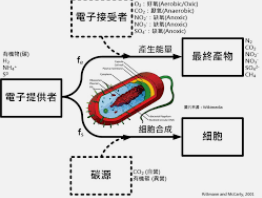 2号站平台靠谱吗?,关于2号站