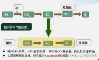 2号站测速地址,2号站娱乐平台