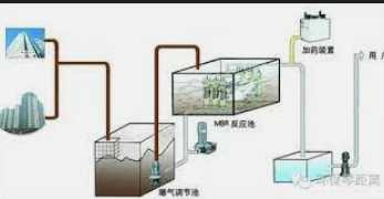 2号站平台登陆,2号站登录