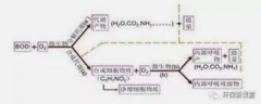 <b>2号站手机登录地址浅谈！活性污泥法中高低负荷</b>