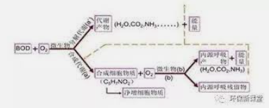 2号站平台登陆,2号站登录