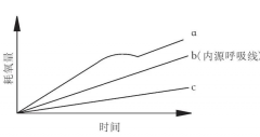 <strong>2号站游戏代理用</strong>