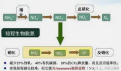 <b>2号站代理注册厌氧氨氧化在市政污水应用中 为什</b>