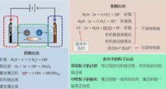 <strong>2号站信誉电化学水</strong>