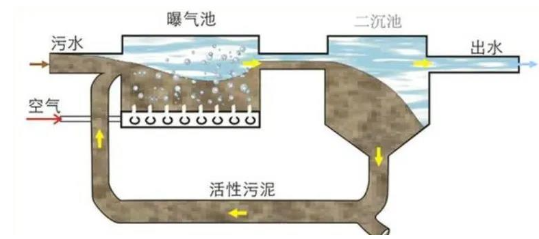 2号站登录网址,2号站平台做什么的?