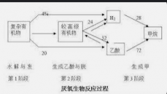 <b>2号站手机登录测速水解酸化池及其与厌氧池之间</b>