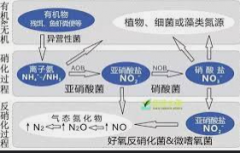 <b>2号站怎么开户?冬季氨氮达标的方式</b>