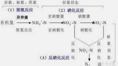 <b>2号站平台登陆线路废水反应基本原理</b>