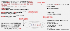 <b>2号站代理注册反硝化碳源如何投加？</b>