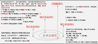 2号站注册,2号站代理注册