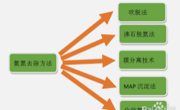 2号站登录网址,手机2号站登录