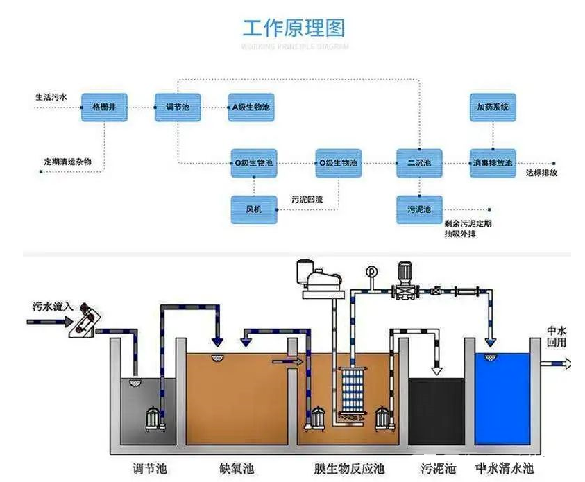 2号站登录网址,手机2号站登录