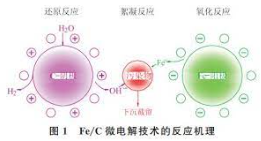 2号站还是杏鑫?,加入2号站