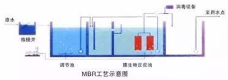 2号站平台黑钱不?,2号站官网